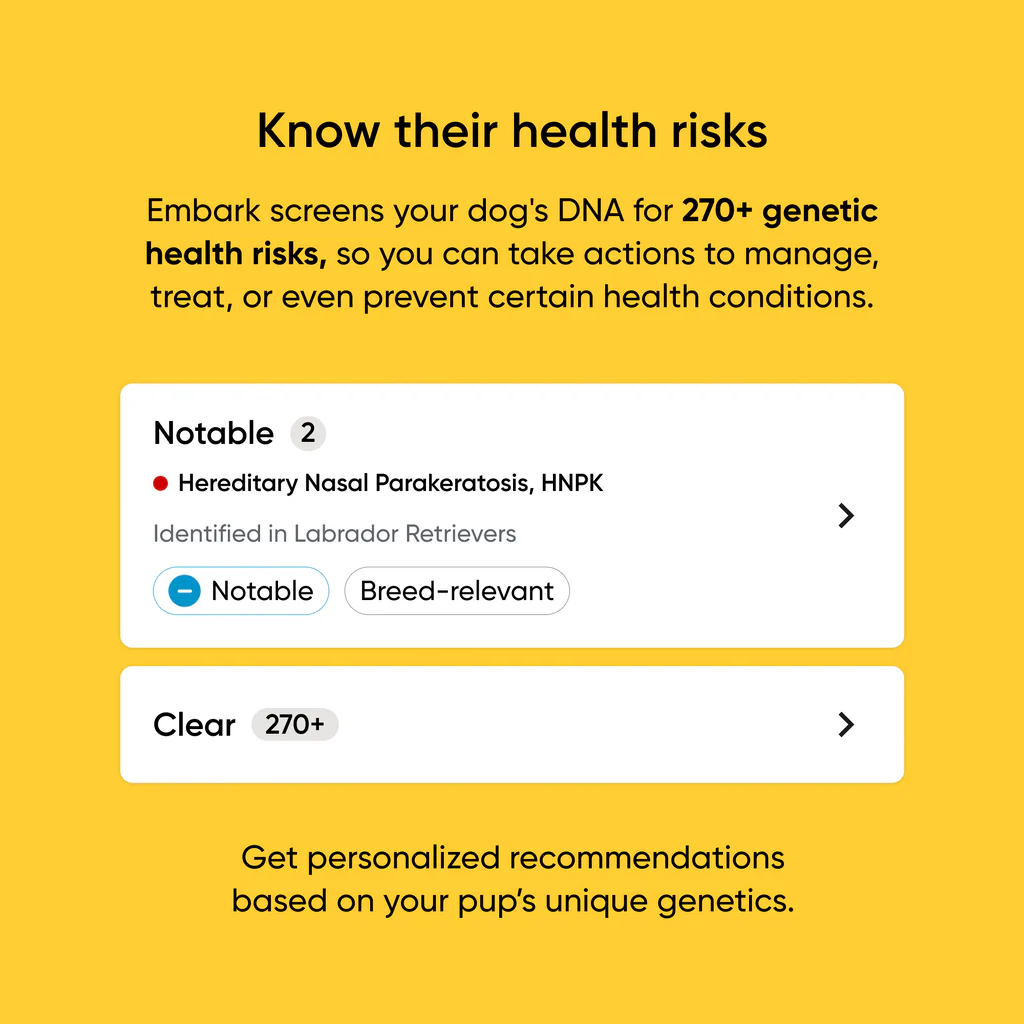 Dog DNA Test