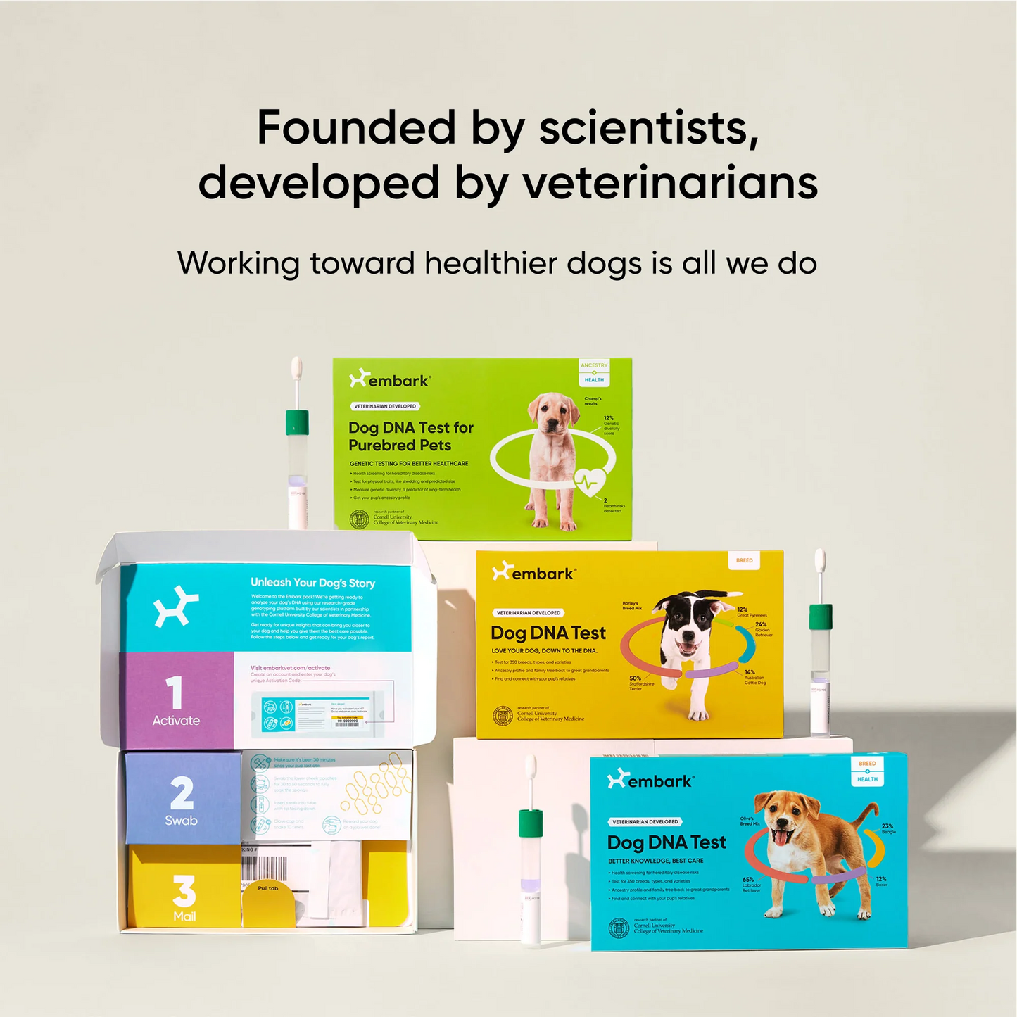 Dog DNA Test