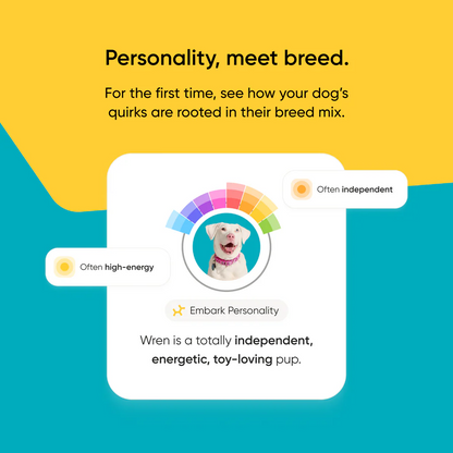 Dog DNA Test