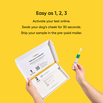 Dog DNA Test