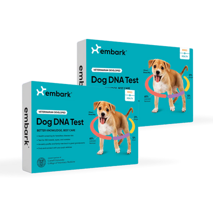 Dog DNA Test